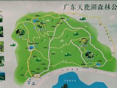 -天鹿湖森林公园