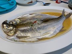 -杭州桐庐康莱德酒店西餐厅-舍