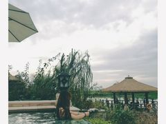 -苏州湾王焰温泉度假酒店