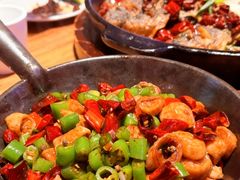 -老板恋上鱼(恒隆广场店)