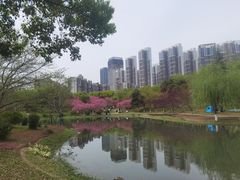 -堤角公园