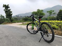 -帐篷客·溪龙茶谷度假酒店