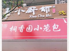 -桐香园小笼包(百井坊巷店)