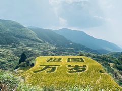 -杨家堂村