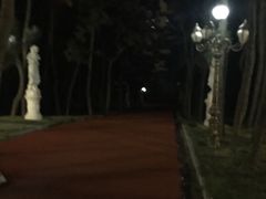 -林海公园