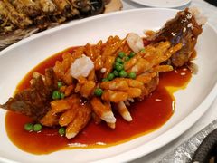 松鼠鱼-乾园(恒隆广场店)