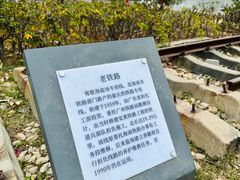 -莺歌海盐场