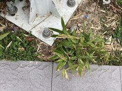 -南京邮电大学(仙林校区)
