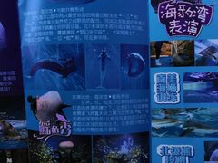 -芜湖新华联大白鲸海洋公园