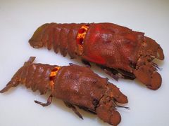 -無鱼鳞比