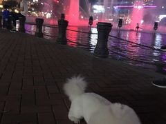 -万达广场(东莞厚街店)