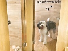 -Double Rui宠物酒店
