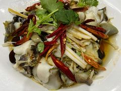 葱油螺片-小海丁