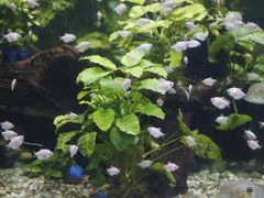 -石林冰雪海洋世界