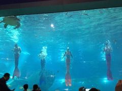 -福州罗源湾海洋世界旅游区