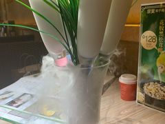 -探窝·竹笙椰子鸡(杨箕店)