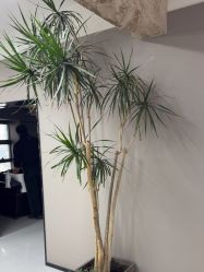 -宫铭烫发染发接发店