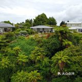 罗托鲁阿市坐落在火山多发区