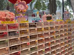 -采蝶轩(东华店)