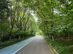 -吴淞炮台湾湿地森林公园烧烤区