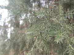 -回龙观体育文化公园