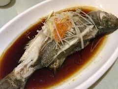 -巴渝兄弟川菜(宽街店)