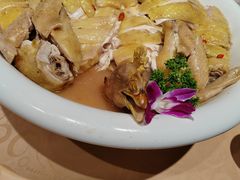 -六浦佳厨 ·地道粤菜(阳山鸡煲店)