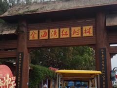 -北海金海湾红树林生态旅游区