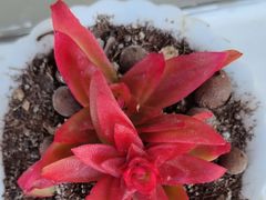 -美味之家·湖景农家乐(太湖东山店)