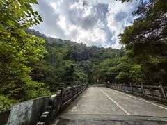 -南海湾森林生态园