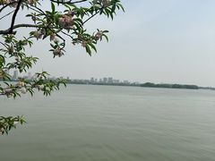 -无锡蠡湖国家湿地公园-蠡园