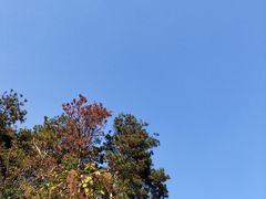 -青龙山国家森林公园