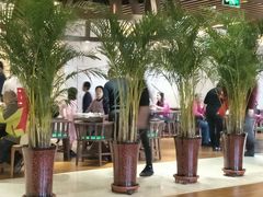 -兴芮温泉度假区