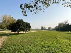 -汉长安城未央宫国家考古遗址公园