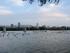 -济南大明湖景区