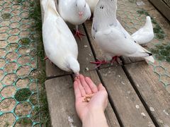 -音乐台