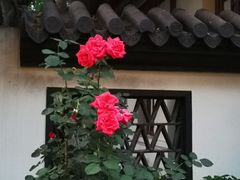 -郑和公园