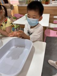 -Moni星球萌宠·小马宝莉·灵蛇·高端高阶全萌宠互动体验俱乐部(红豆国际广场店)