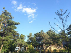 iphone_upload_pic-爱新觉罗皇家博物院