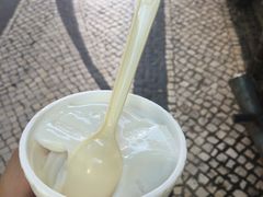 -洪馨椰子