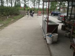 -小六农家乐(崇明西沙湿地店)