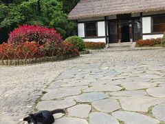 -庐山风景区花径公园