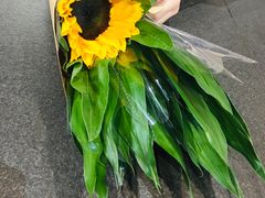 -鹿岛会员店 (龙湖三千集天街店)