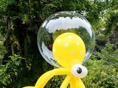 -铁山坪森林公园