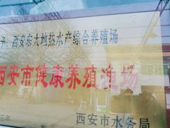 -特种渔场