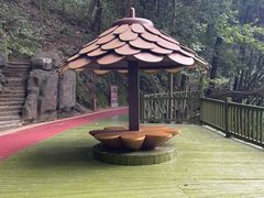-广州市流溪河国家森林公园