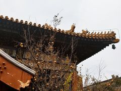 -雍和宫