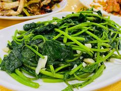 蒜蓉番薯叶-鹏城人家海鲜酒家·23年老字号(较场尾店)