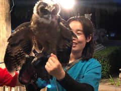 -清迈夜间动物园