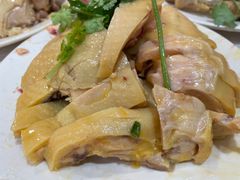 -振鼎鸡(华阴路店)